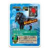 TAKARA TOMY Ania Adventure Continent Ania Kingdom Lions Animal Dinozaur Jucărie Epoci (Leu) 3+