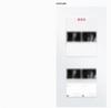 BTS ARIRANG Deluxe Vinyl LP 2 Types Set – B&W Ver. + Color Ver. Limited Collector Edition