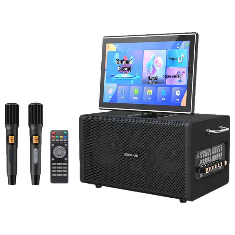 High-Power Portable Bluetooth Karaoke Trolley Speaker CN plug (adapter included) (CN version)
