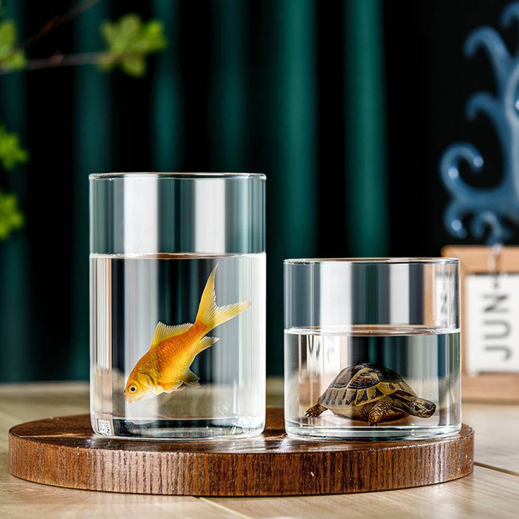 Klare Blumenvase, Hydrokulturvase aus Glas, Vase aus Borosilikatglas, Zylinderförmige Blumenvase, Kerzenhalter, Hochzeit, Heimdekoration