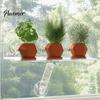 Kitchen Window Herb Stand Sill Plant Shelf with Strong Suction Cups, Clear Acrylic Wall Small Item Display Rack Mounted Floating Ledge, for