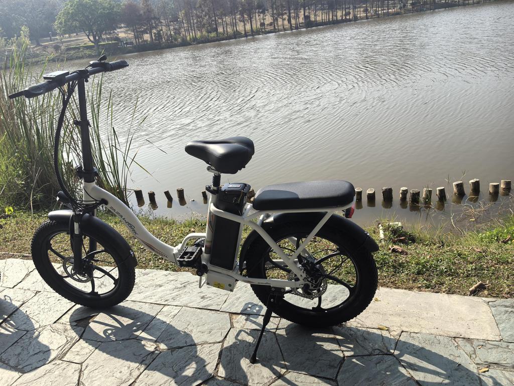 ZAZAWORK 20-inch Folding Electric Bike 250W 47Nm Motor 48V 16Ah Battery 25km/h Speed 100km Range 7 Speeds Spring Suspension Disc Brakes