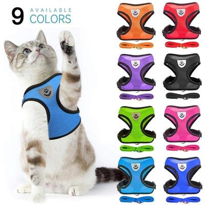 Pettorina per gatti Gilet in rete regolabile Guinzaglio da passeggio Cucciolo Maglia in poliestere traspirante Accessori per gattini per cani di piccola taglia media