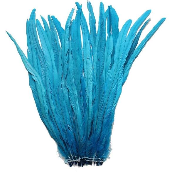 Nature Rooster Coque Tails Feathers Costume Craft Decoration 12-14inch Pack of 25 (black)