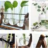 Air Planter Bulb Glass Vase Plant Terrarium With Wooden Stand Retro Tabletop For Hydroponics Home Garden Office Decoration