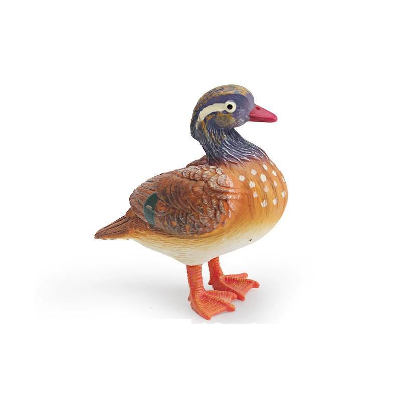 Animal Model Desktop Decor With Plastic Material For Educational Display And Bird Enthusiasts