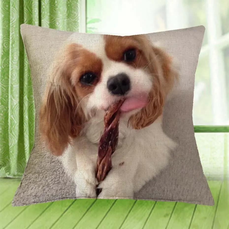 Cavalier King Charles Spaniel Bedrukte Serie Bank Creatieve Kussenhoes Eenvoudige Kussensloop Huisdecoratie Feest