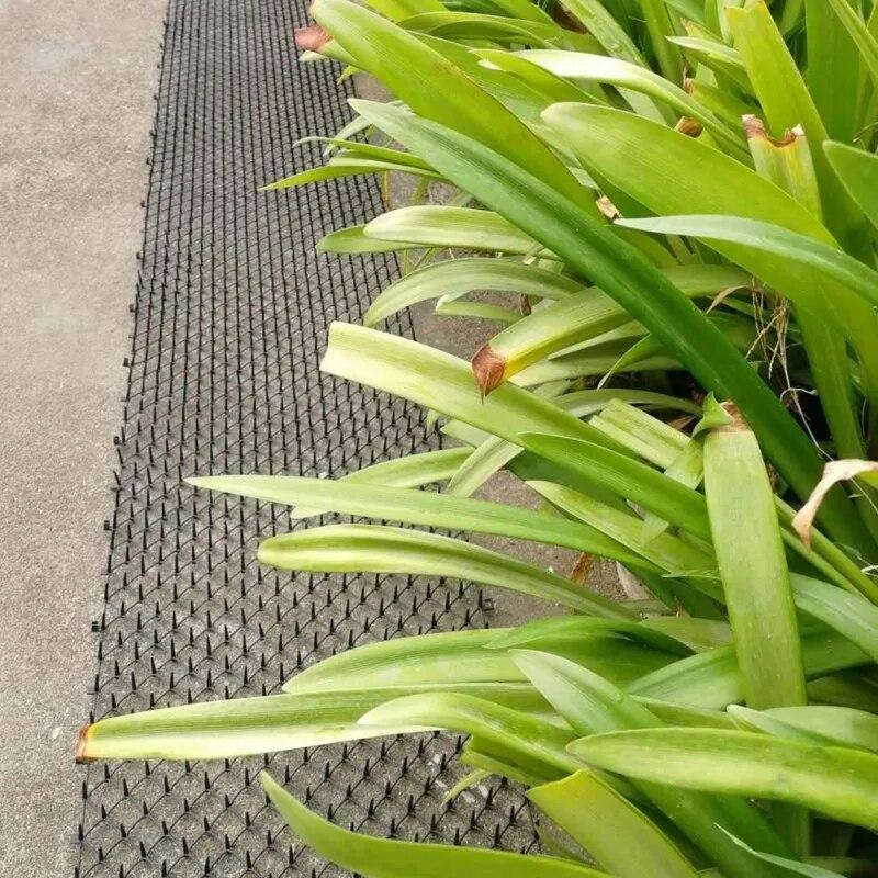 Garden Protect Kunststoff-Spike-Matte, Katzen- und Hundeabwehrmatte, die Katzen und Hunde vom Graben abhält