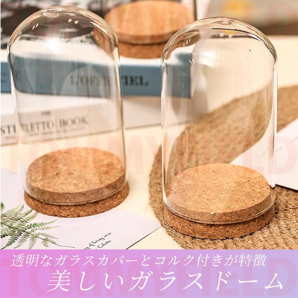 TOMMYFIELD Glass Dome with Clear Glass Cover and Cork Base for Home Decoration (Dome) [Parallel Import]