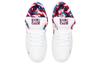 Nike Sb Skateboard Dunk Low Og Qs 'Bianco' CN4504-100