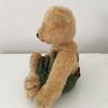 [USED] Teddy Bear Plush Toy Artist Bear Bear