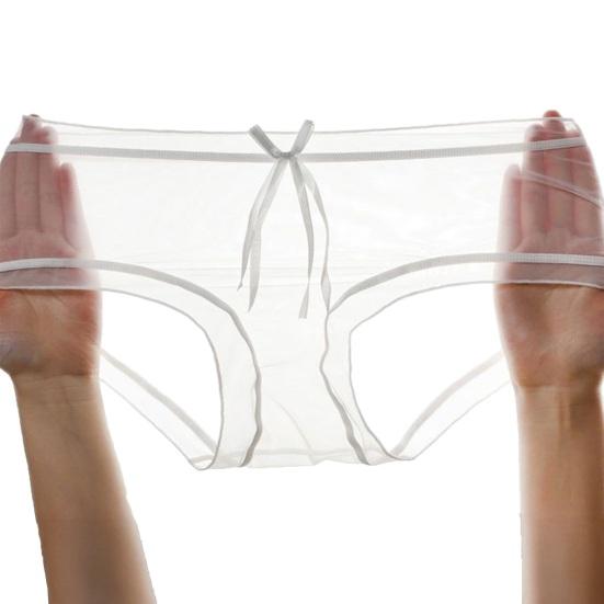 

Sexy Underwear for Women Ultra Thin See Through Sheer Mesh Panties Seamless Mid Waisted Hipster Briefs L