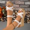 Fashion Cross Band Chunky Platform Sandals Women 2025 Plus Size High Heeled Sandals Woman Ankle Buckle Summer Wedges Sandalias Mujer 42