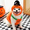 Christmas Pumpkin Pet Hat Plush Warm Cosplay Costume Accessory Cute Woven Headdress for Kitten Puppy Cats And Dogs