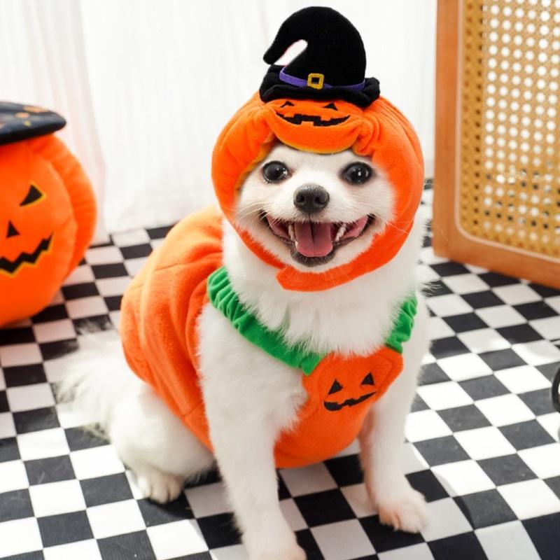 Christmas Pumpkin Pet Hat Plush Warm Cosplay Costume Accessory Cute Woven Headdress for Kitten Puppy Cats And Dogs