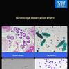 AOSVI Professional Laboratory Biological Microscope