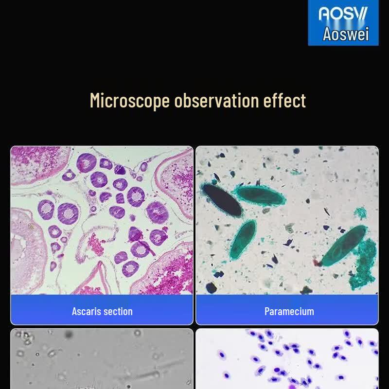 AOSVI Professional Laboratory Biological Microscope