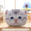 Scottish Fold Cat Plush Pillow Stuffed Soft Cartoon Animal Seat Cushion Back Support Plushie Sofa Chair Indoor Decor Gift