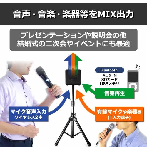 Belcat BWPA-40W 40W Wireless Portable PA System with Channel Switching, Expansion Set Lite (Includes 2 Wireless Microphones, Wired Microphone, Tableto