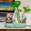 Frog-Themed Hydroponic Vase for Office Decoration