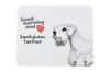 Accesorii pentru calculatoare – Mouse pad-uri și suporturi mână