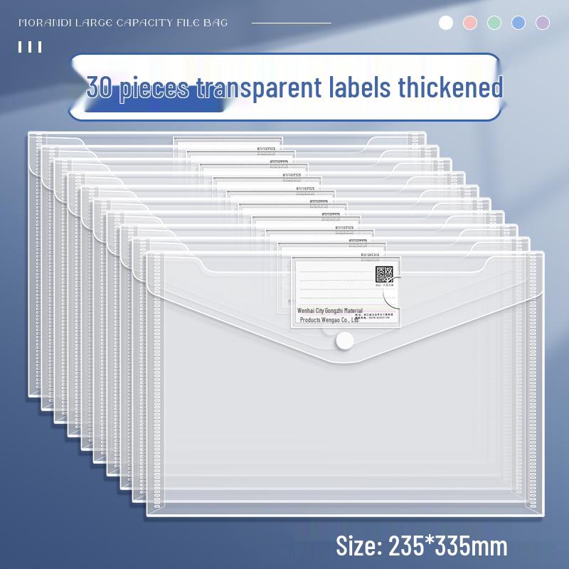 Transparent A4 File Bag, Large Capacity Snap Button, Test Paper & Document Storage for Students