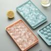 33 Ice Boll Hockey PP Schimmel Bevroren Whisky Bal Popsicle Ijsbakje Doos Lollipop Maken Geschenken Keuken Gereedschap Accessoires
