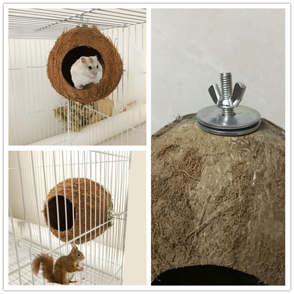 Pet Parrot Nest Natural Coconut Shell House Cage Feeder Parakeet Birds Hamster Toys