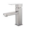 VEMUSE Painted Square Basin Faucet