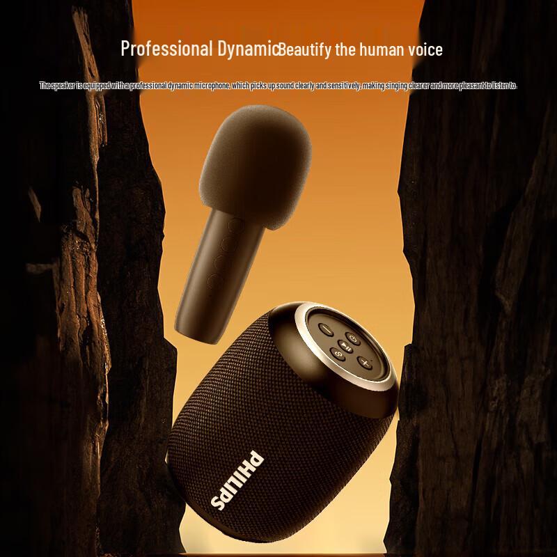 Philips Portable Bluetooth Karaoke Speaker CN plug (adapter included)