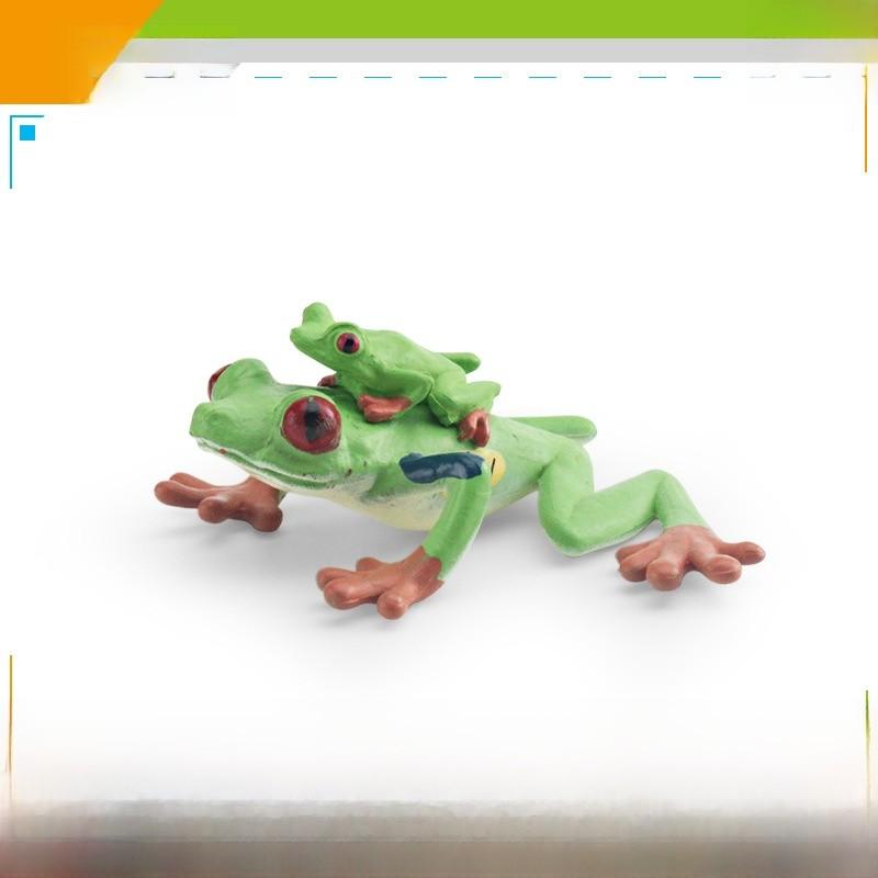 Wildlife Pvc Animal Models With Realistic Frog Collection For Children Educational Decor