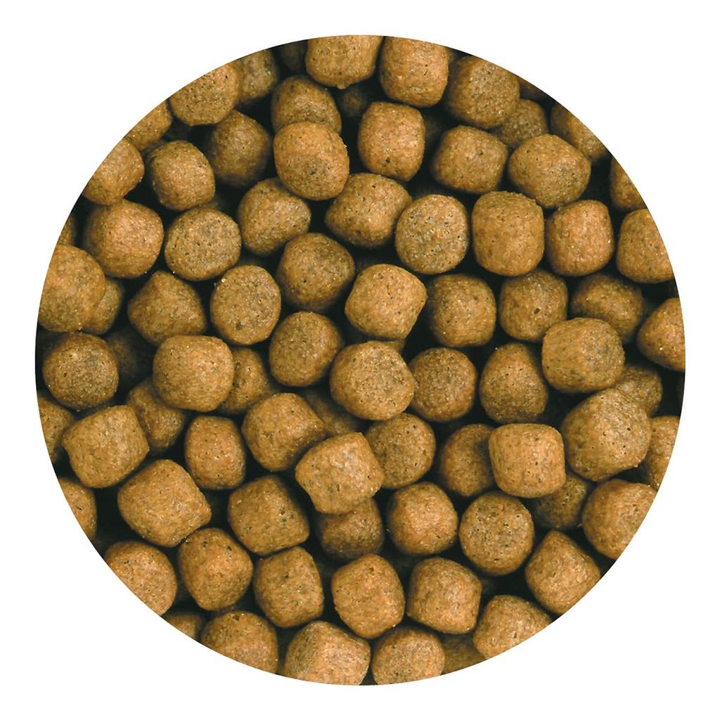 Kyorin Saki Hikari Cultivation Floating 2kg (x 1)