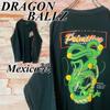 [USED] Rare Design Dragon Ball Long-sleeved T-shirt, Anime, Goku, Used, Size L