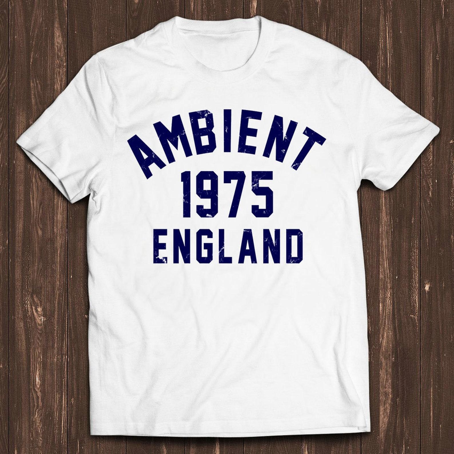 Ambient Music 1975 Brian Eno The Orb Synthesizer Funny Gamer Meme Music Gift Tee T Shirt C1591 3XL