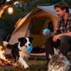 Interactive Dog Toys Automatic Interactive Type-C Rechargeable Pet Games Small Dog Toys For Indoor Outdoor Play Training