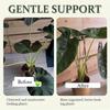 Reusable Plastic Plant Support Clamps - Invisible Turtle Shell Design - Clear Stem Holder Set for Flower, Herb, and Vegetable Growth Support - Garden