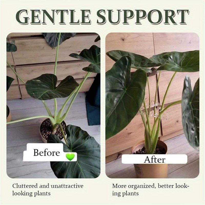 Reusable Plastic Plant Support Clamps - Invisible Turtle Shell Design - Clear Stem Holder Set for Flower, Herb, and Vegetable Growth Support - Garden