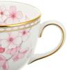 Wedgwood Pink Mouth Diameter Height 7cm Capacity 200ml Saucer Diameter Brand BOX Not Spring Blossom Cup_Saucer Size 8.5cm 14.5cm Included.