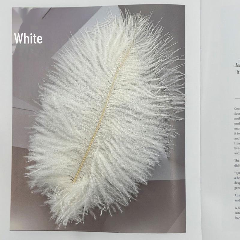 Barevné zavírače na dorty z pštrosího peří a příslušenství