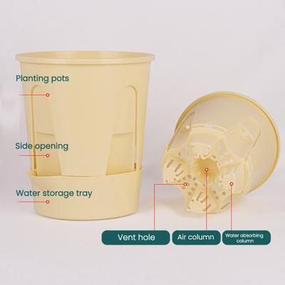 Yousheng Self Watering Planter Flower Pot with Reservoir Saucer Ventilated Plant Pot for Phalaenopsis Indoor Orchids Home Balcony Office Desk