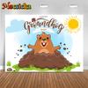 Mocsicka Happy Groundhog Festival Background Cartoon Cute Sun Backdrops Photography Decorations Baby Child Portrait Photo Studio