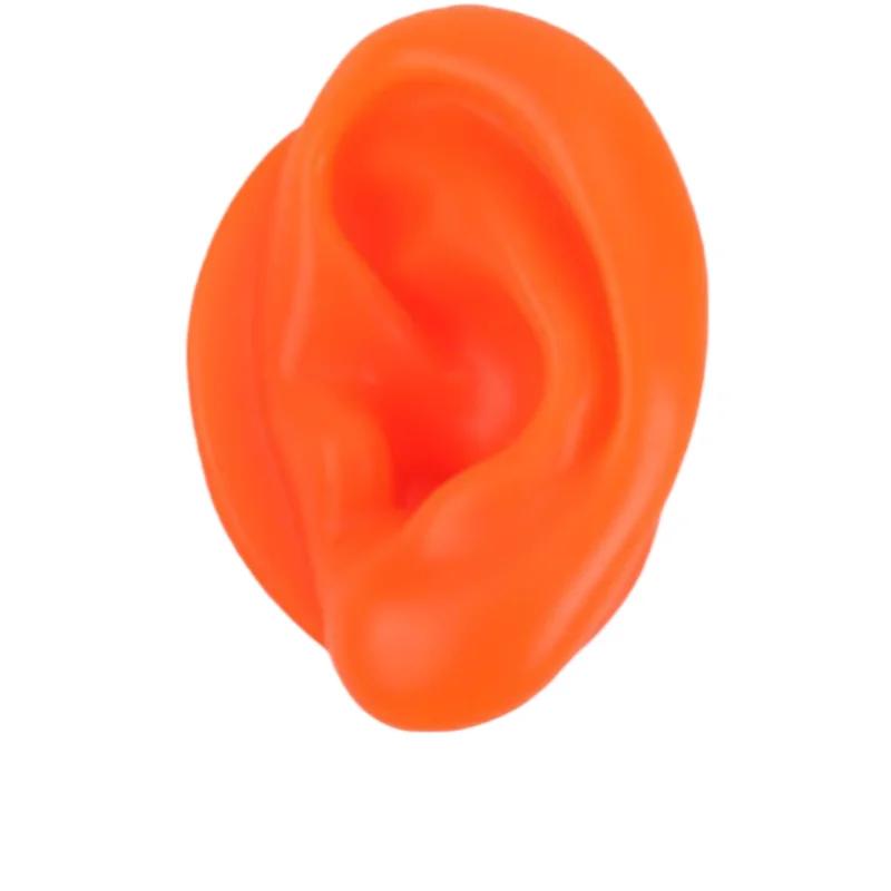 5D Silicone Simulated Artificial Ear Model Ear Stud Piercing Piercing Piercing Teaching Hearing Aid Acupuncture Practice Prop
