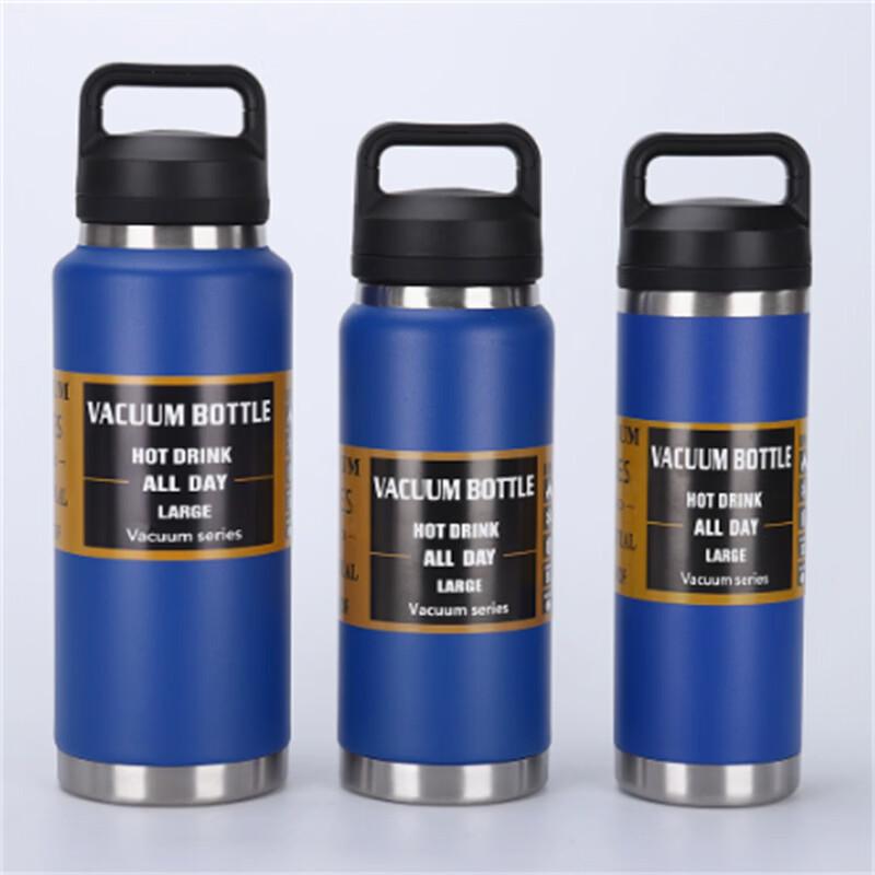 Ally 304 Stainless Steel Insulated Sports Water Bottle