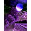 DIY 5D Diamond Painting Landscape Full Moon Cross Stitch Kit Rhinestone Diamond Embroidery Mosaic Art Home Decoration Picture
