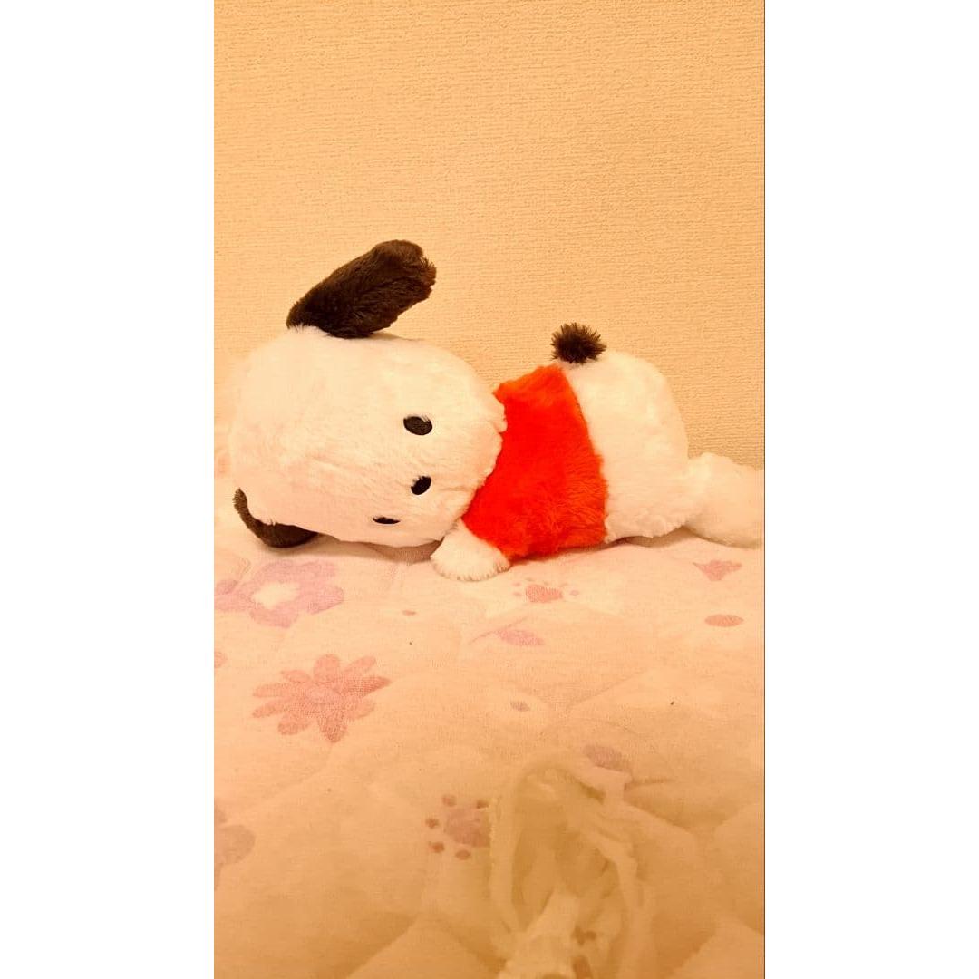Pochaco stuffed toy