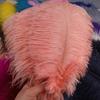 50pcs Ostrich Feathers for Crafts Wedding Decoration Handicraft Accessories Table Centerpieces Carnival Plumas Decor Wholesale