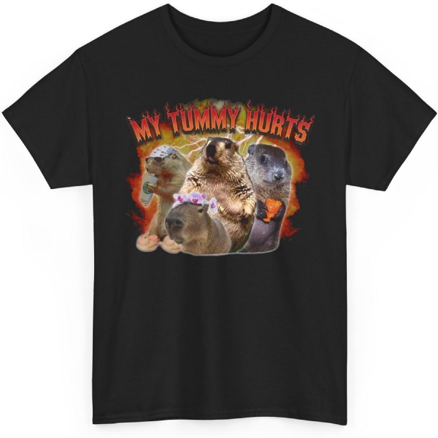 My Tummy Hurts and I m Mad at The Government Meme Shirt, Raccoon Funny Meme Tshirt, Weird Gag Shirt, 90s Graphic T-Shirt, LOL XXXXXL разноцветный