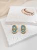 Stainless Steel Enamel Drop Earrings Studs for Women  Fashion Exquisite Temperament Earrings Womens Spring Jewelry Gifts