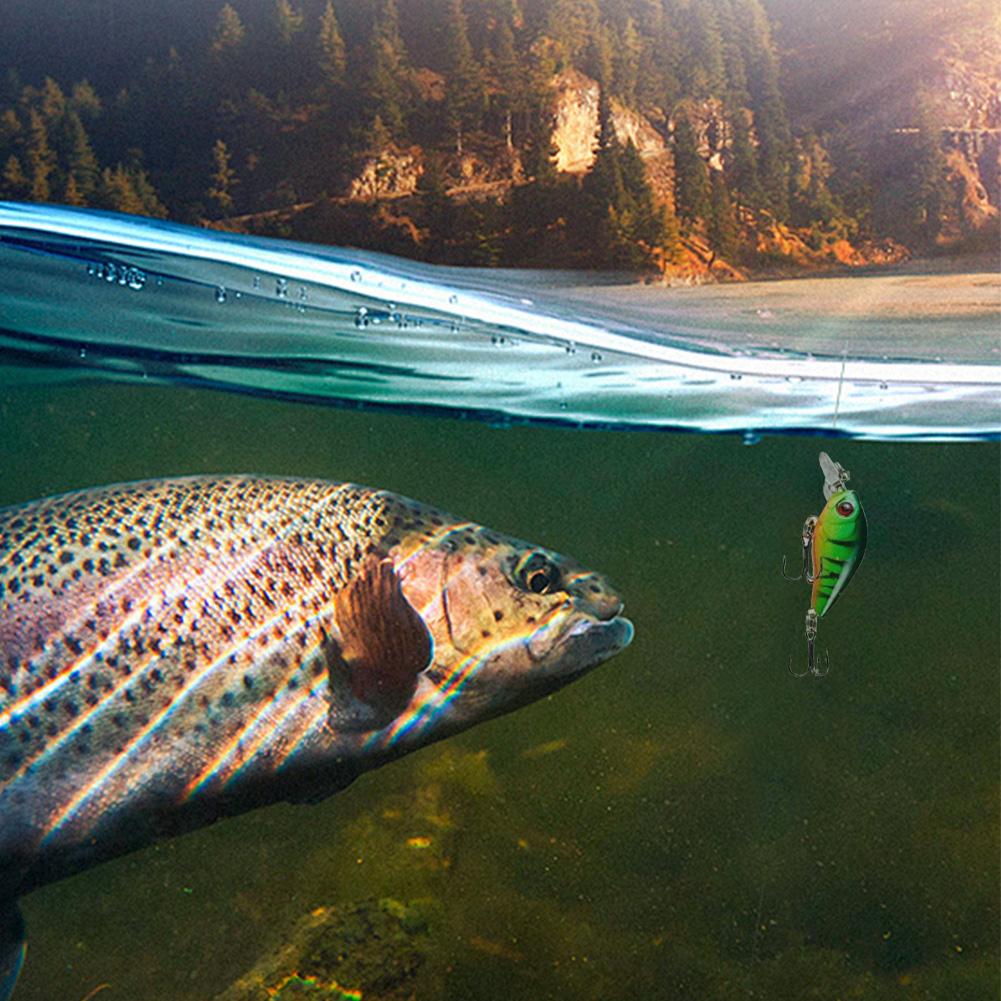 Fishing Advent Calendar 2025 24 Days Fishing Christmas Countdown Fishing Lure Advent Calendar for Fisher Anglers Men Teen Boys