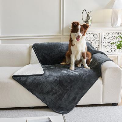 Waterproof Pet Blanket Sherpa Fleece Plush Thick Blanket For Dogs And Cats All Seasons Simple Design Cozy Mat
